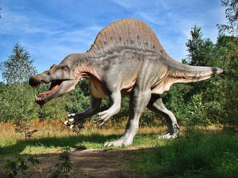 Dinosaur Exhibit